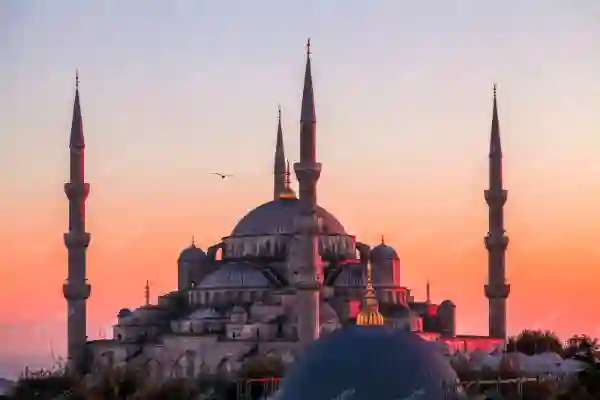 envato-istanbul-flying-seagull-over-sultan-ahmed-mosque-istanbul-PEDN2NU